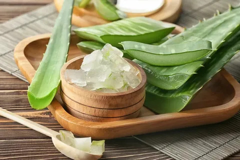 The Beneficial Effects of Aloe Vera