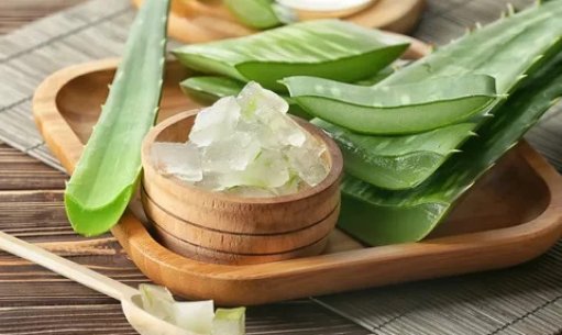 The Beneficial Effects of Aloe Vera